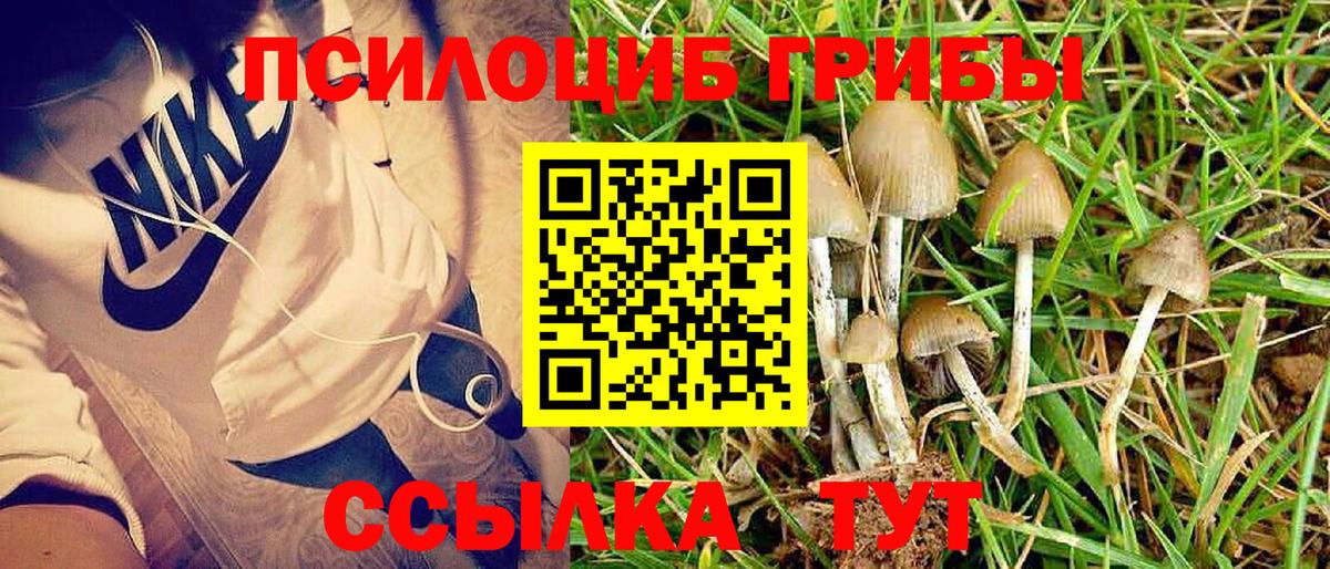 Псилоцибиновые грибы мицелий Югорск