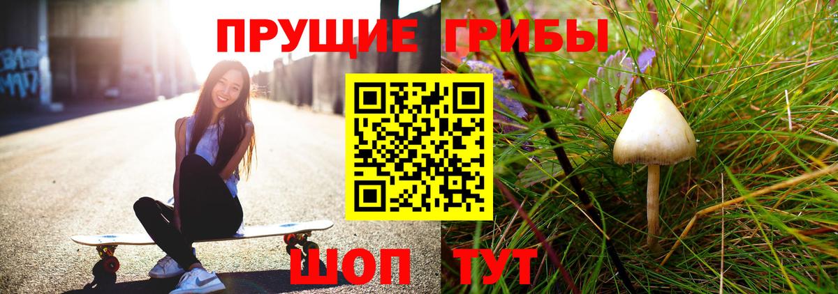 Югорск  продажа наркотиков  Вход с VPN  Галлюциногенные грибы Cubensis 